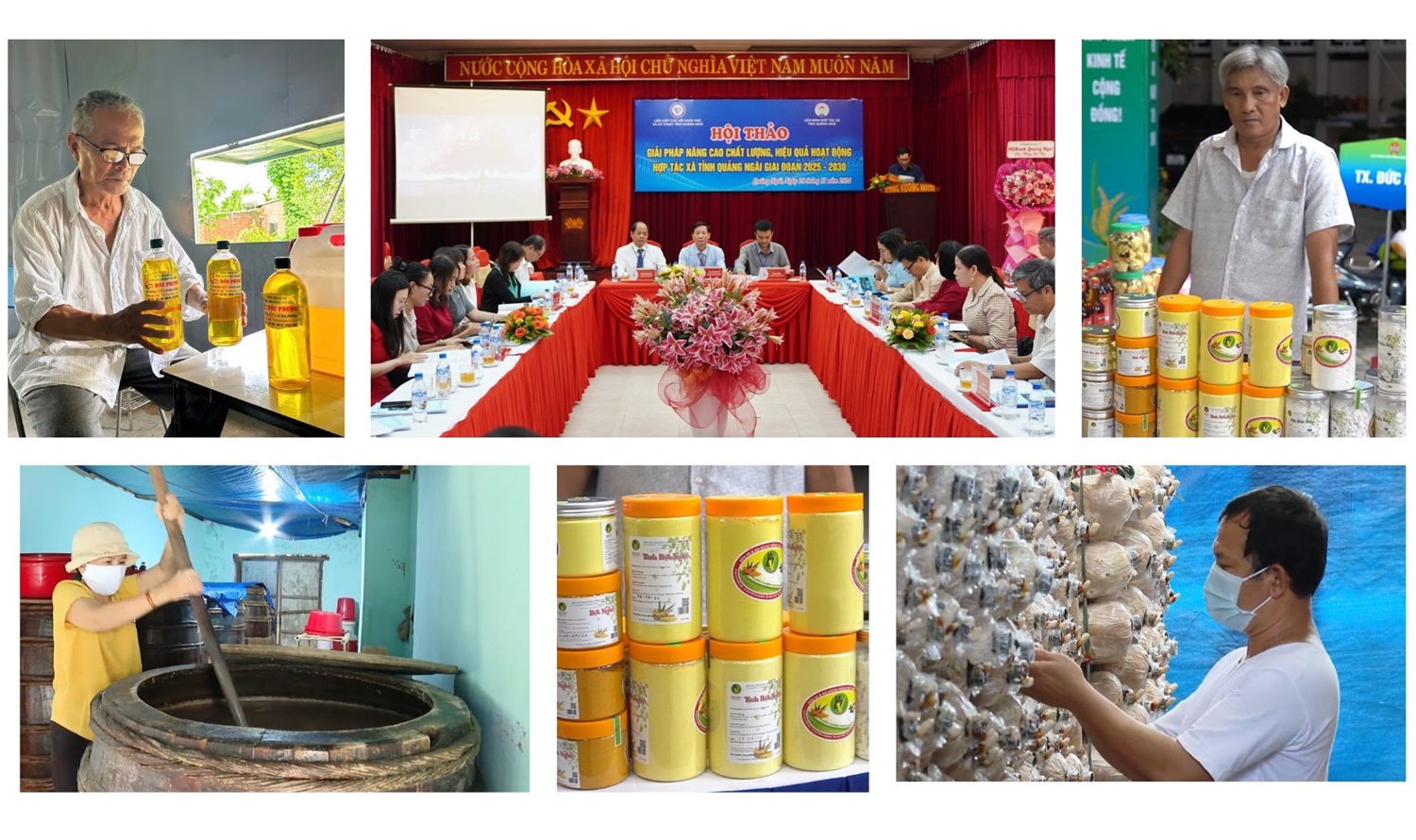 [Video]. Nâng cao hiệu quả kinh tế hợp tác xã