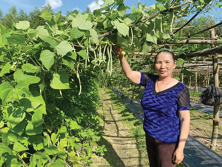 Cán bộ hội nông dân gương mẫu 