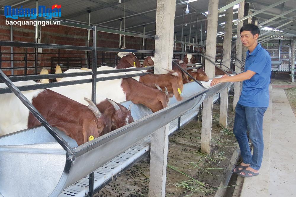 Thu nhập cao từ nuôi dê