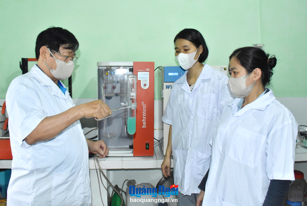 Phân bón Humic Quảng Ngãi: Đồng hành cùng nông nghiệp xanh