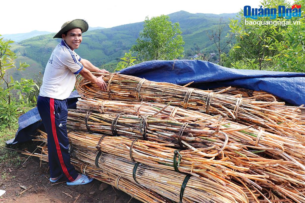 Đổi thay ở Ba Trang