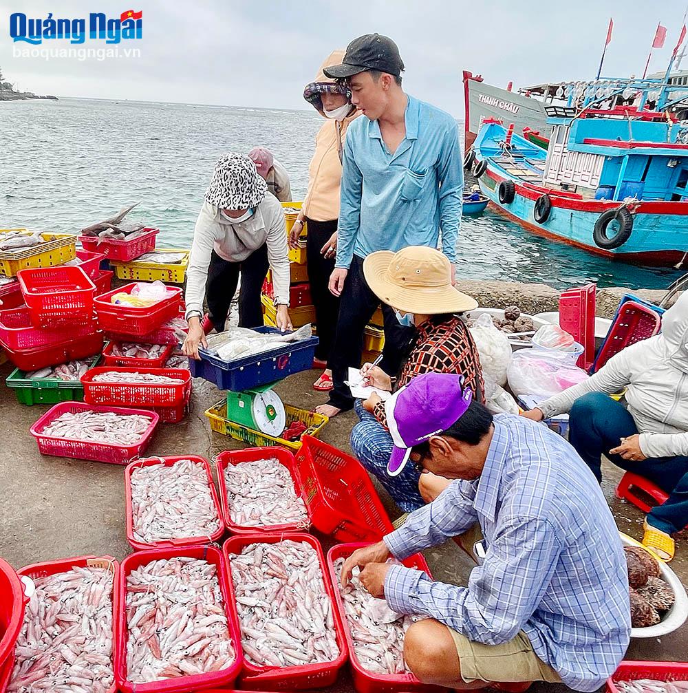 Lý Sơn ổn định giá cả mùa du lịch