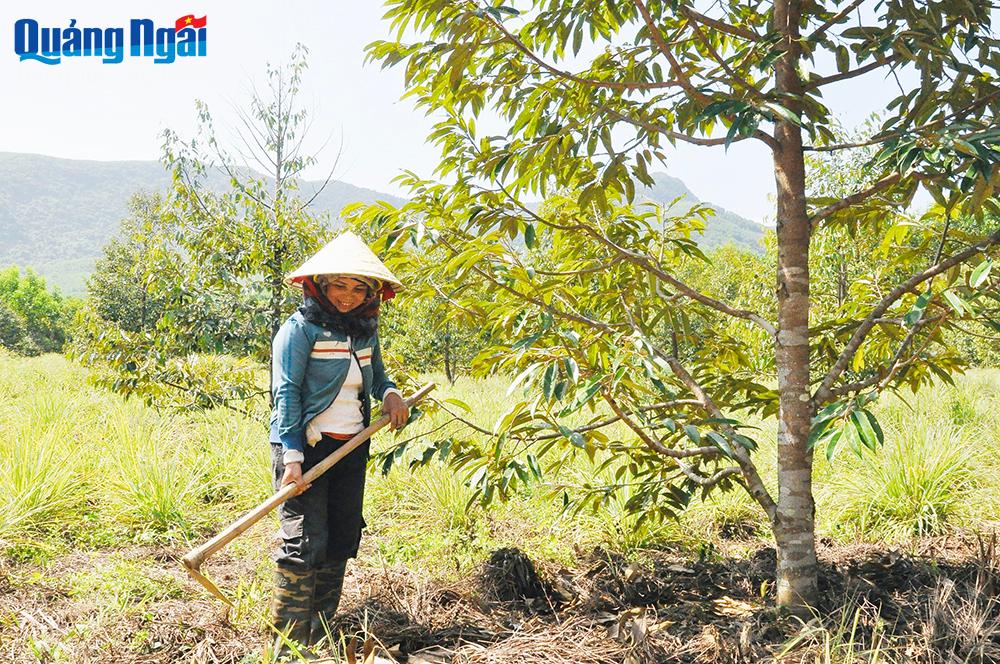 Phụ nữ huyện Minh Long phát huy nguồn vốn vay ủy thác