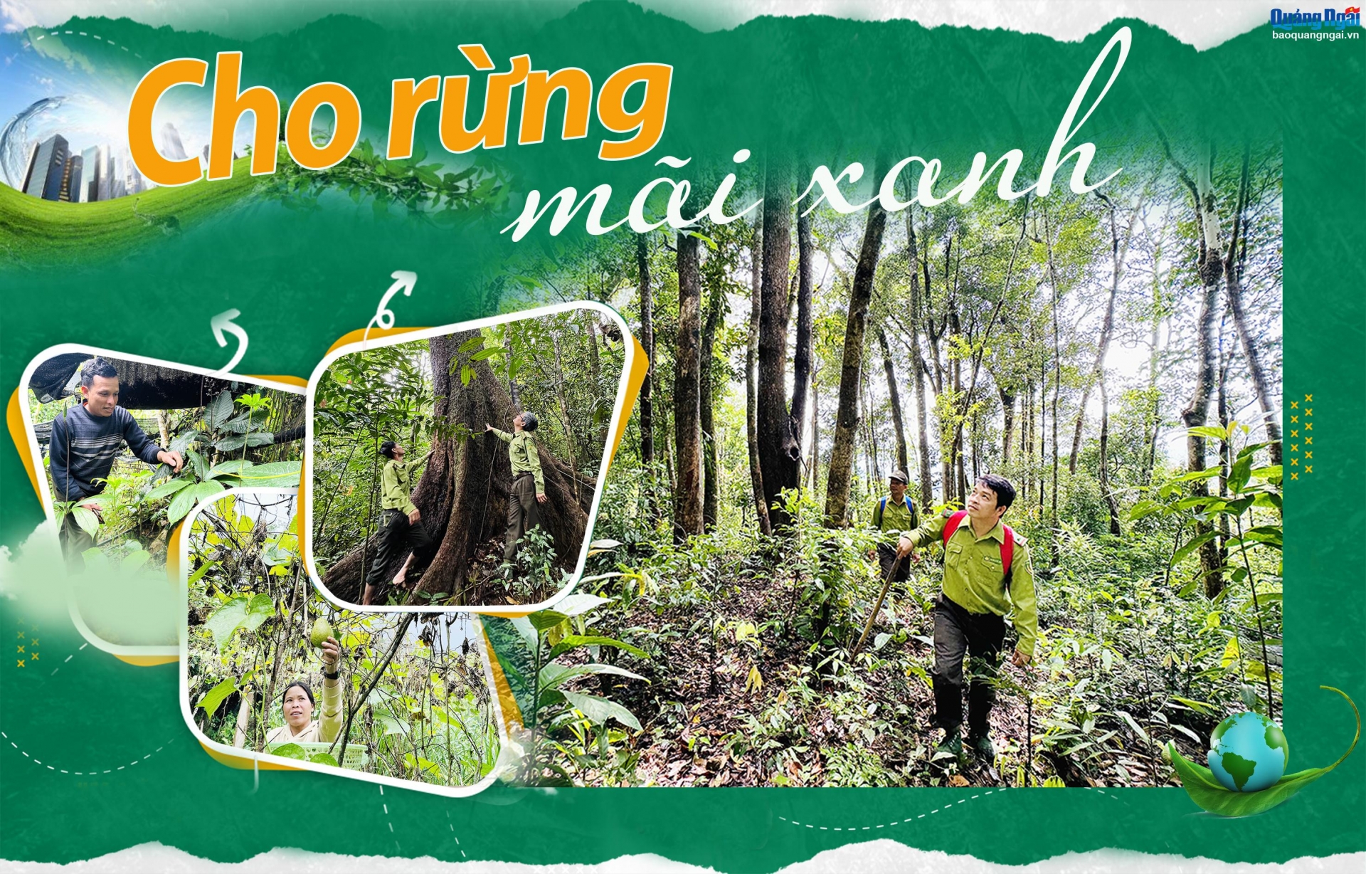 [Emagazine]. Cho rừng mãi xanh
