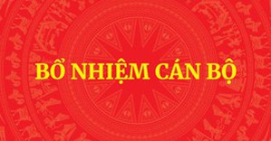 Bộ Chính trị, Ban Bí thư chỉ định Bí thư Tỉnh ủy sau sáp nhập