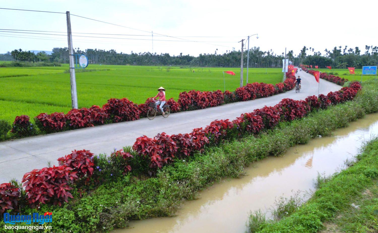 Lan tỏa những tuyến đường hoa