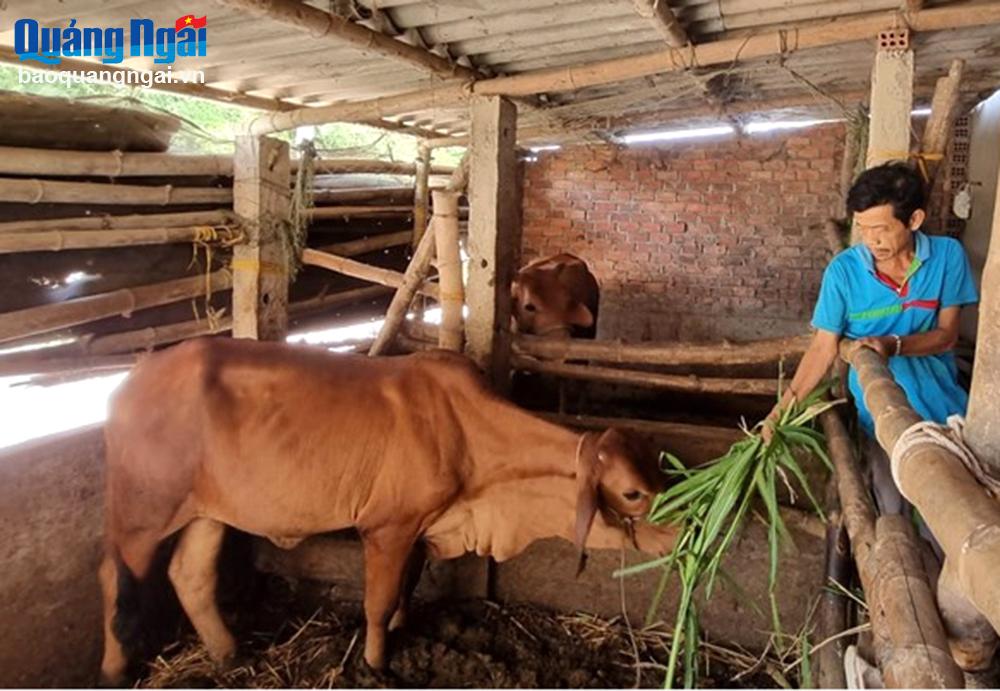 Sát cánh cùng người nghèo