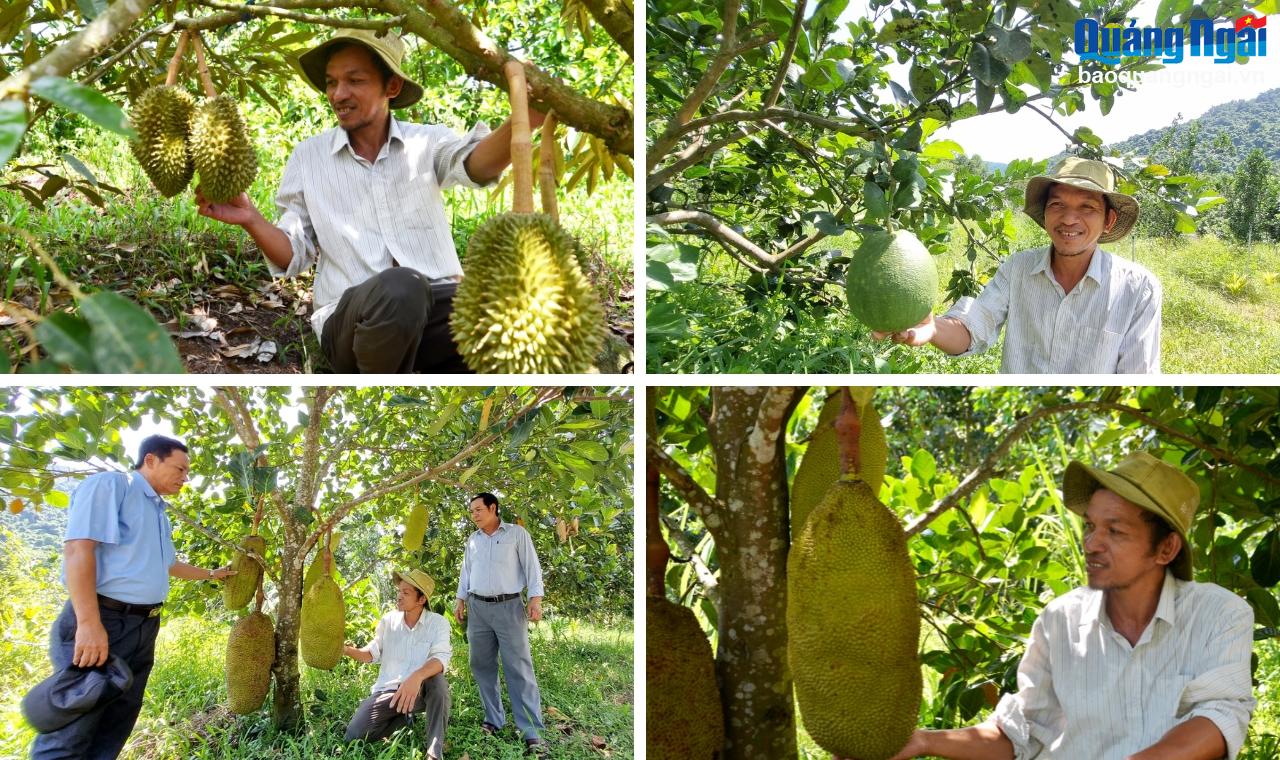 Làm giàu với mô hình kinh tế tổng hợp