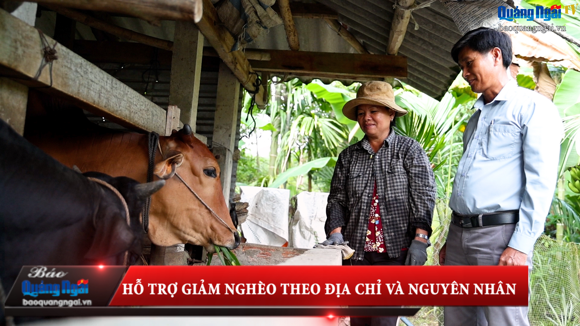 [Video]. Hỗ trợ giảm nghèo theo địa chỉ và nguyên nhân