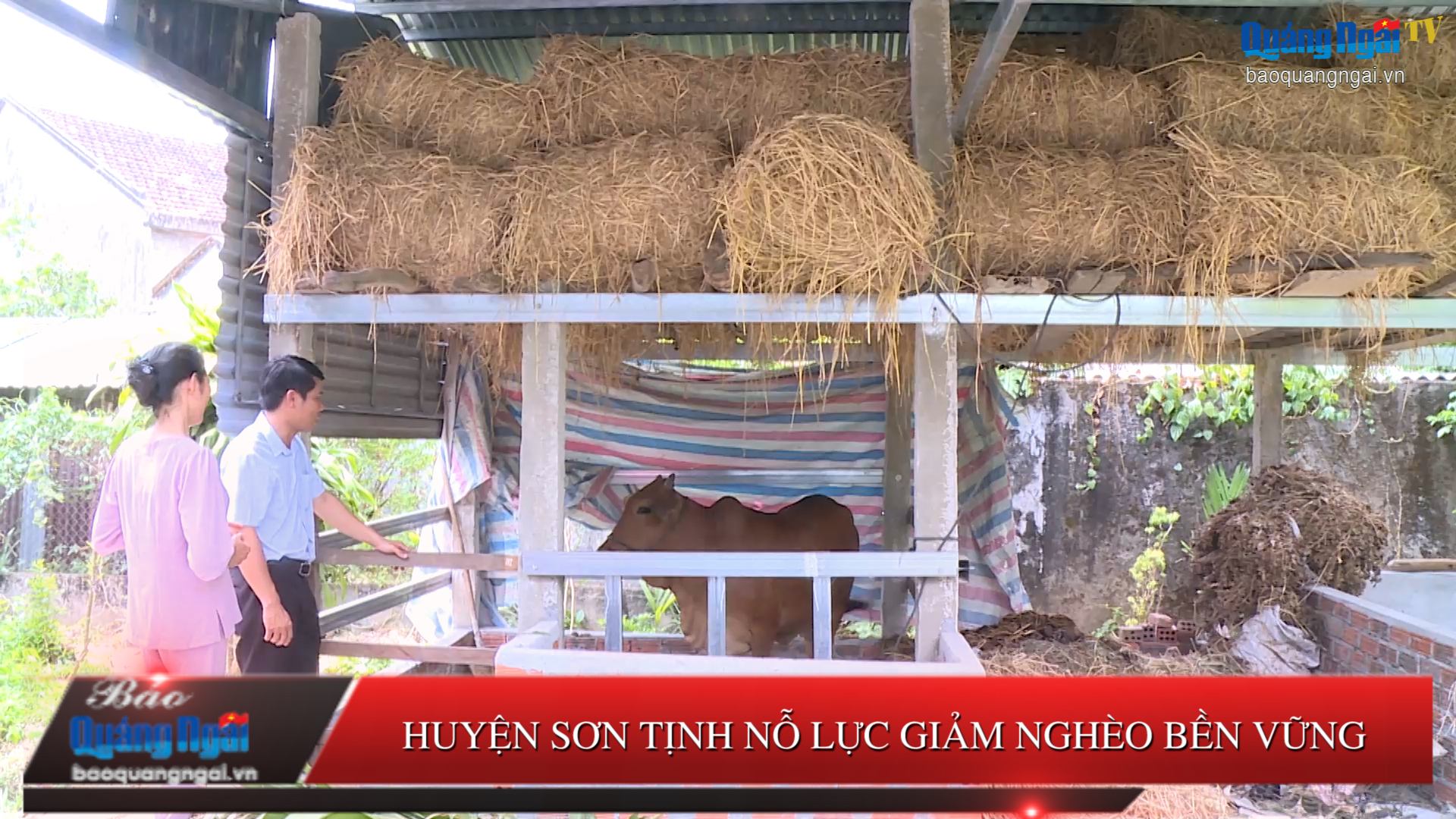 [Video]. Huyện Sơn Tịnh nỗ lực giảm nghèo bền vững