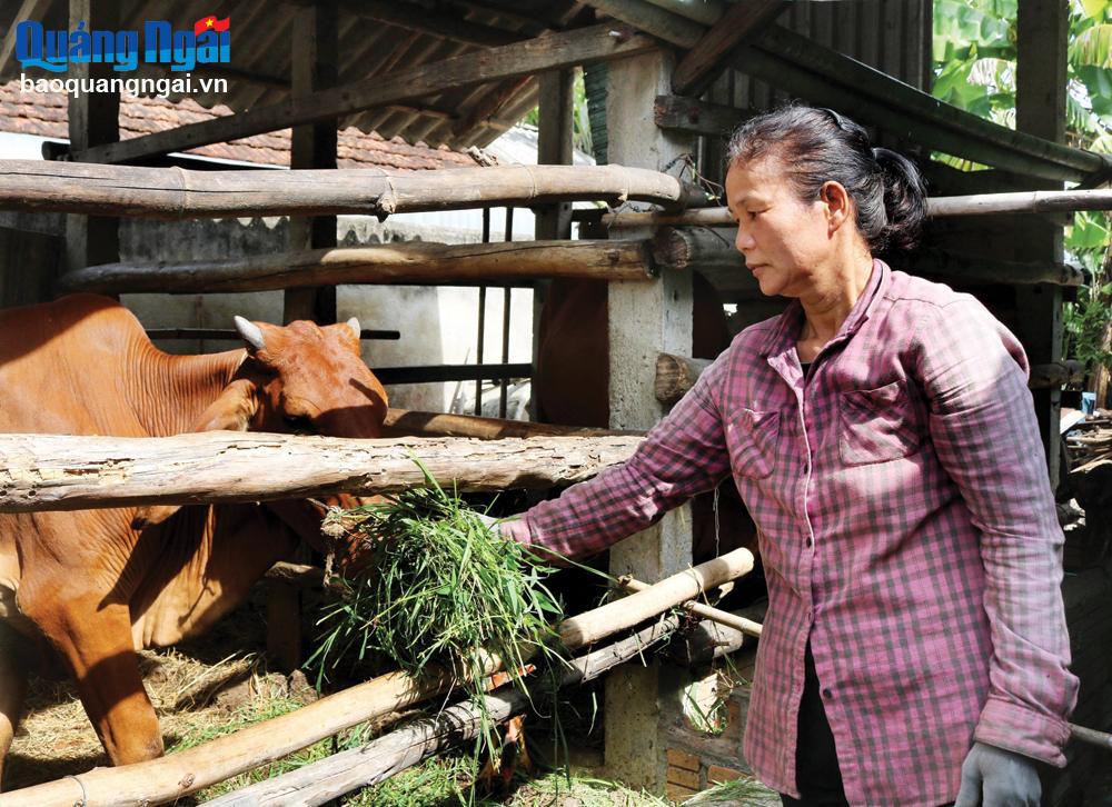 Hướng đi hiệu quả để thoát nghèo