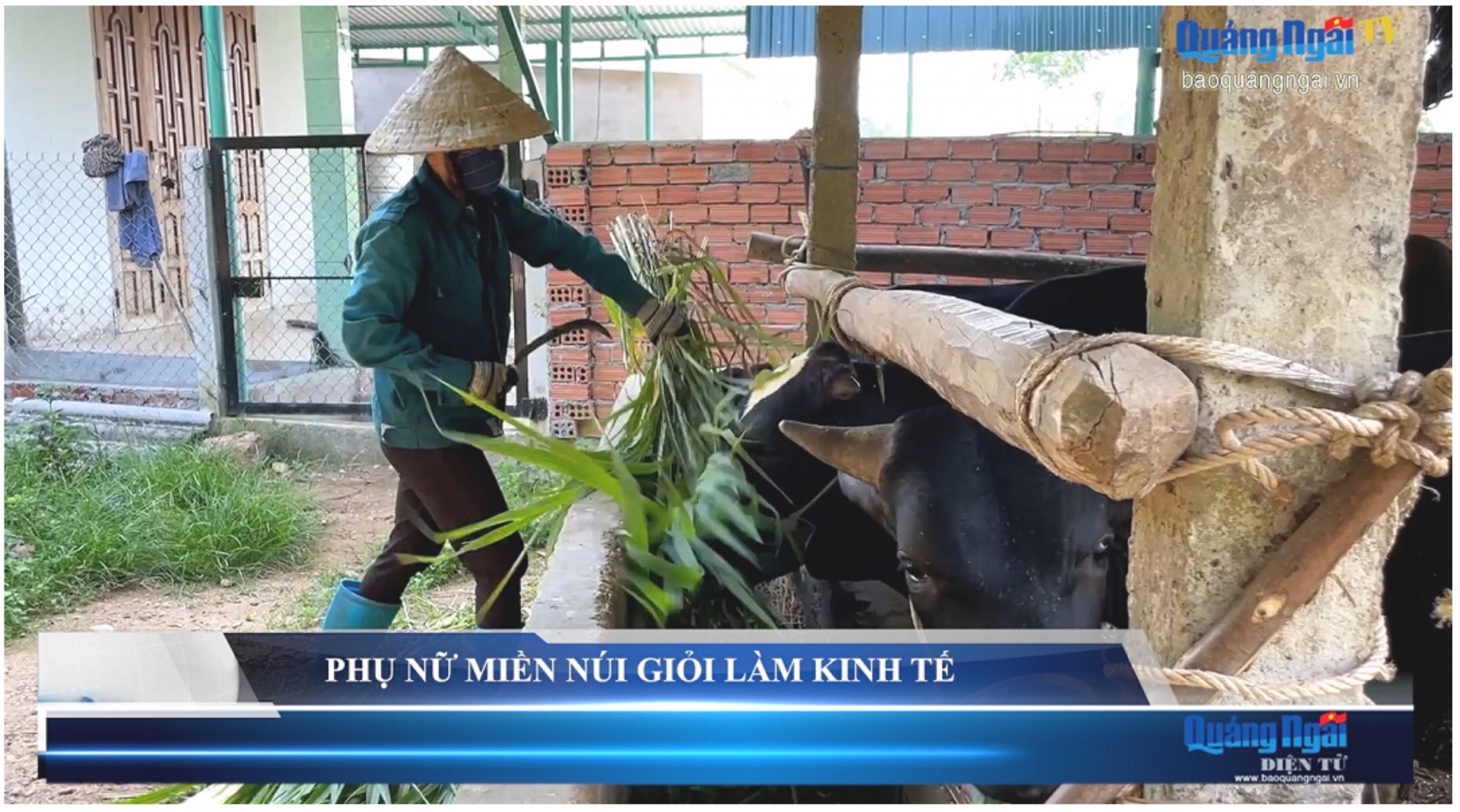 Video: Phụ nữ miền núi giỏi làm kinh tế