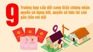 [Infographic.] 9 trường hợp cấp đổi 