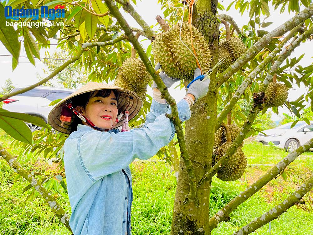 Quả ngọt từ nông nghiệp sạch