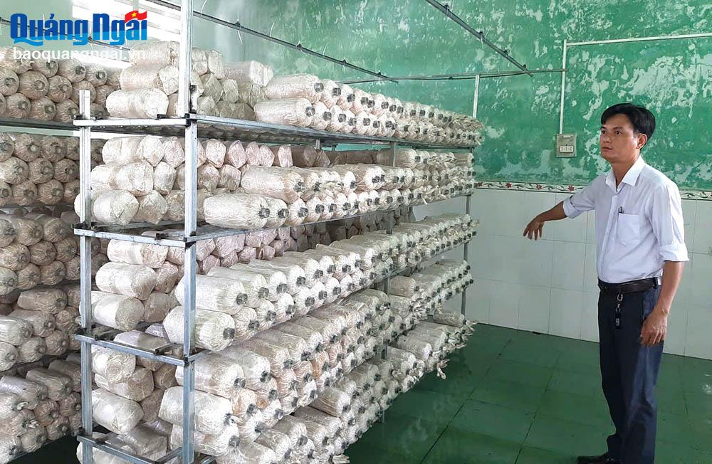 Tư Nghĩa: Hiệu quả từ nguồn vốn tín dụng chính sách