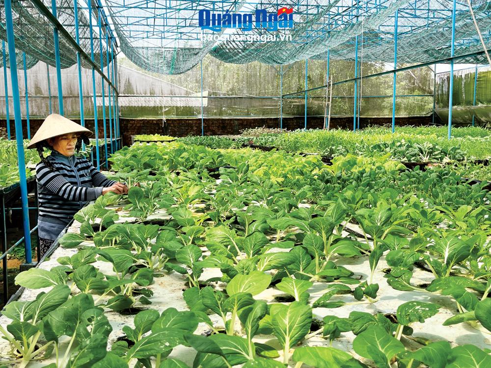 Điểm sáng giảm nghèo ở Tư Nghĩa