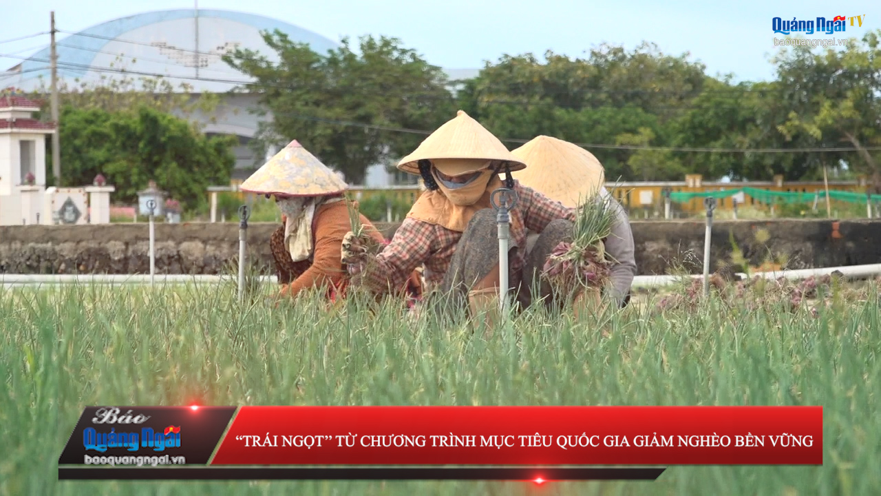 “Trái ngọt” từ Chương trình Mục tiêu Quốc gia giảm nghèo bền vững