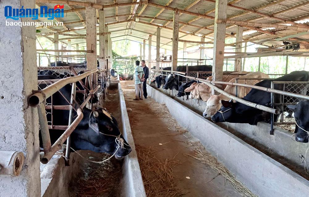 Trợ lực cho nông dân phát triển kinh tế 