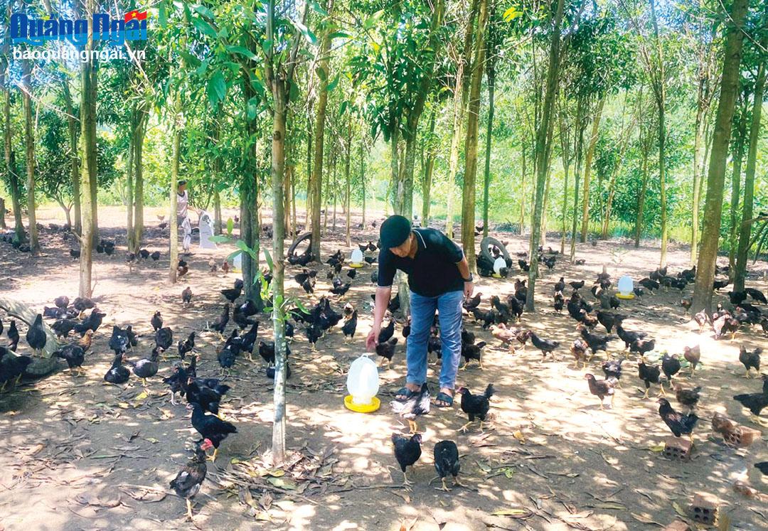 Trợ lực để thoát nghèo