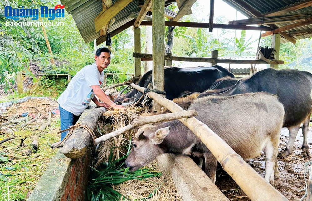 Những 'cánh chim' đầu đàn giữa đại ngàn