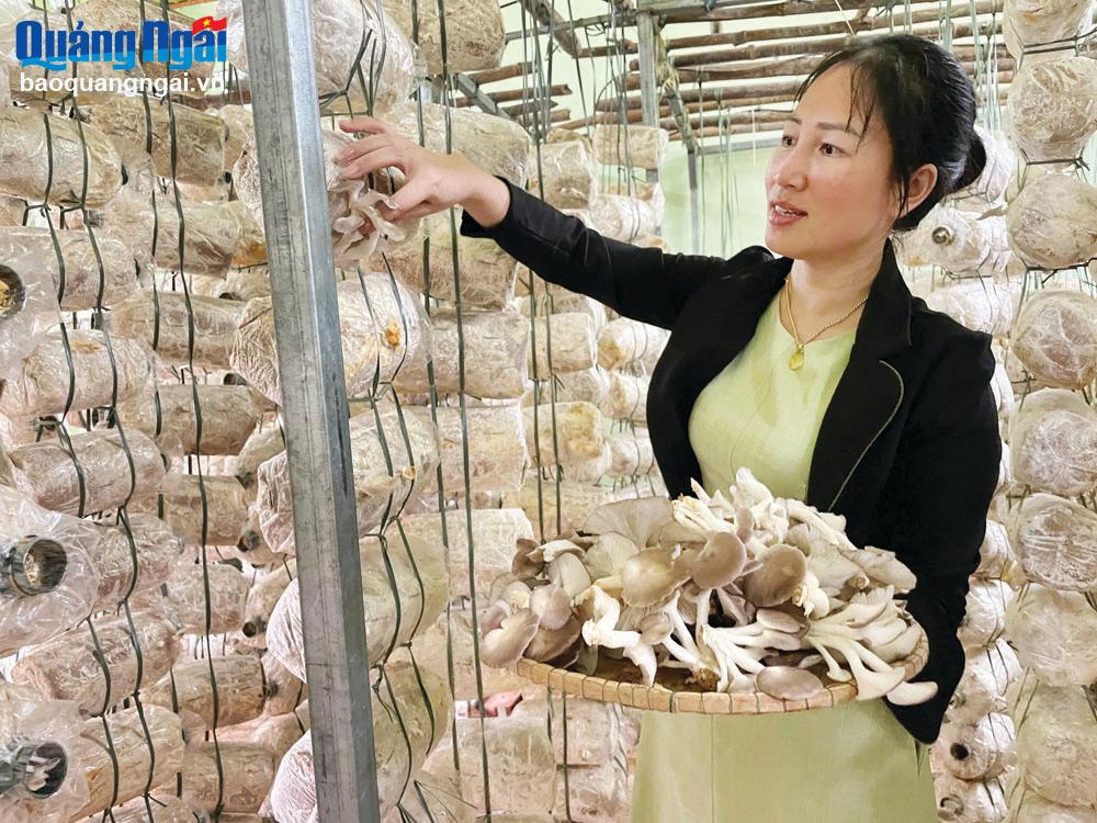 Mô hình hiệu quả trong sản xuất nông nghiệp sạch