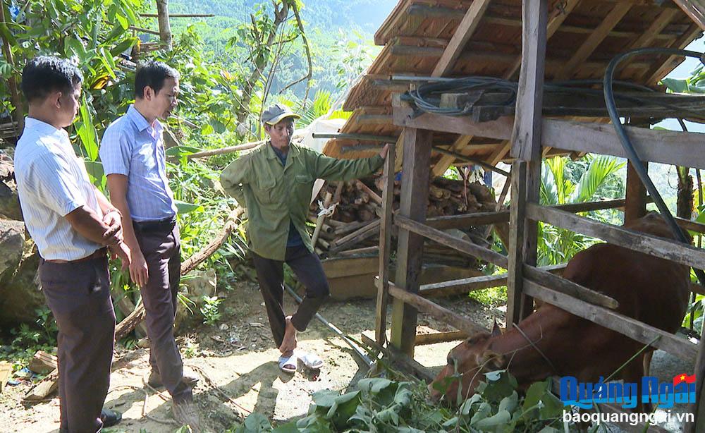 Hiệu quả từ mô hình đỡ đầu hộ nghèo