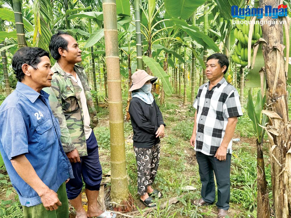 Sẵn sàng cho công tác bầu cử trưởng thôn