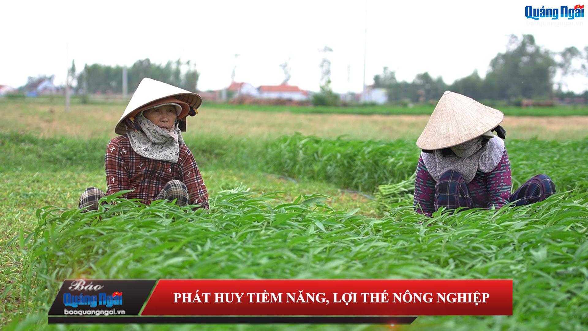 [Video]. Phát huy tiềm năng, lợi thế nông nghiệp