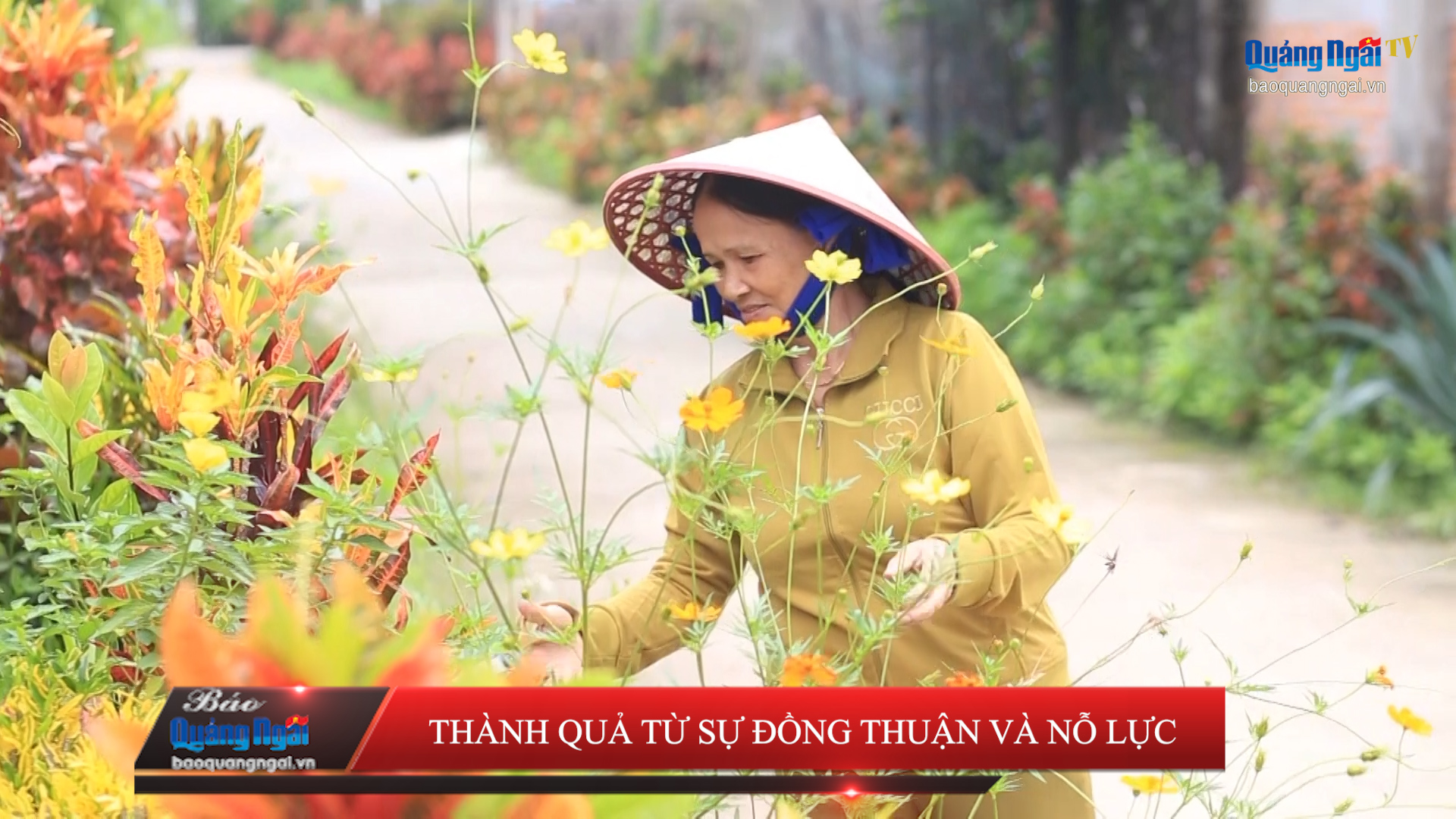 [Video]. Thành quả từ sự đồng thuận và nỗ lực
