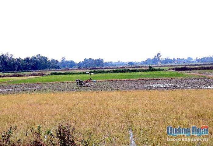 Bảo vệ môi trường, đôi điều suy nghĩ