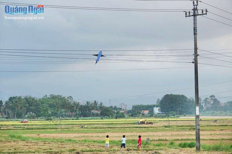 "Đánh liều" thả diều bên đường điện